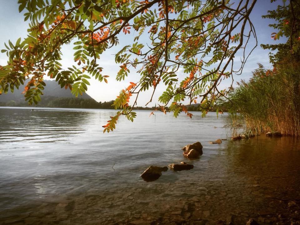 Apartmenthaus Der Johanneshof - Tolle Lage Nah Am See Schliersee Εξωτερικό φωτογραφία